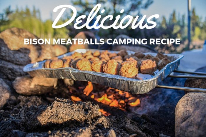 Bison Meatballs Camping Recipe