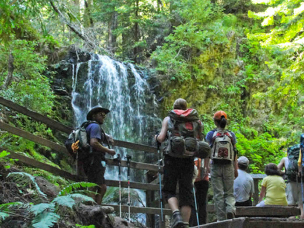 Berry Creek Falls also has a nice viewing area.