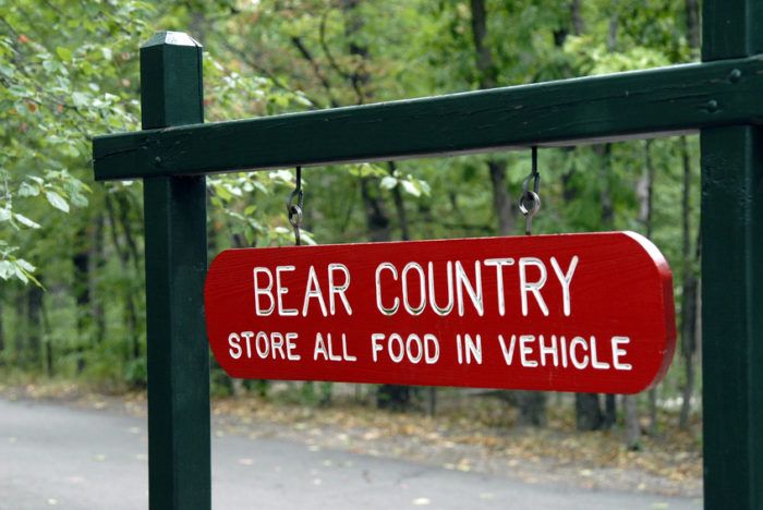 Bear Country camping Sign