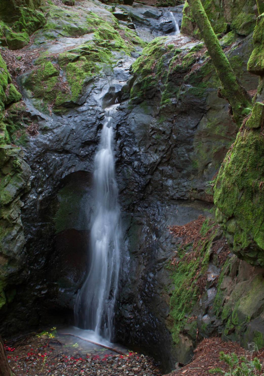 Mossy Cascade Falls in Marin County.