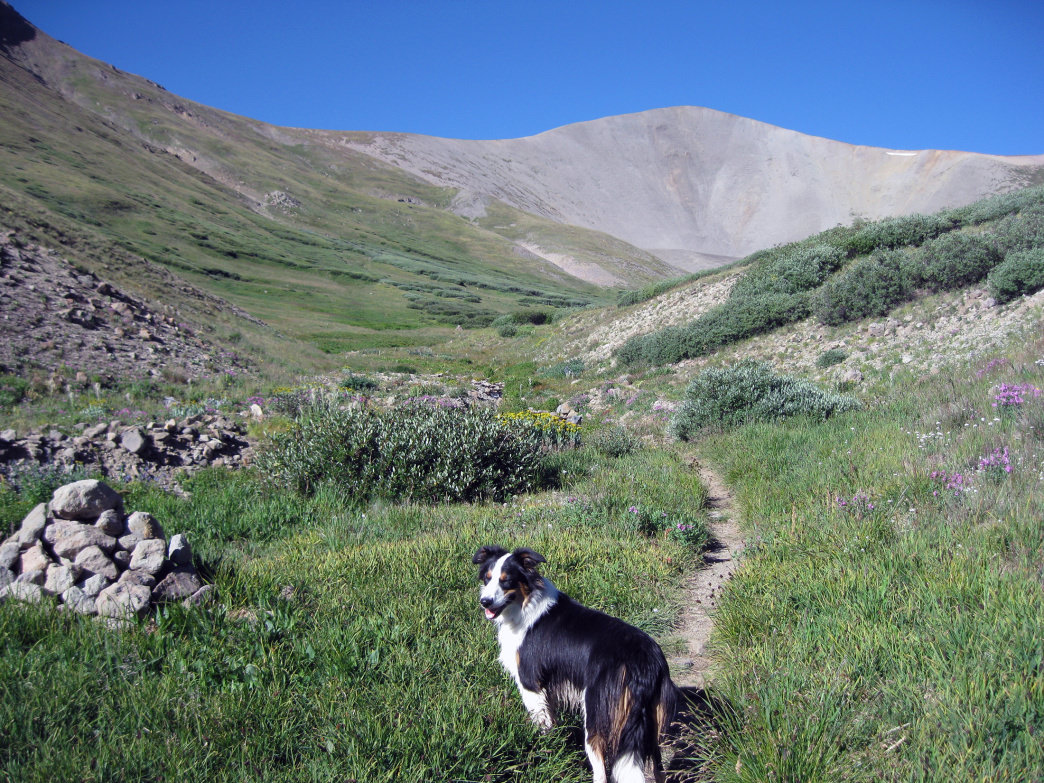 San Luis is one of the best walk-up 14ers, especially in early summer when many small streams run and wildflowers are in full bloom. 
    James Dziezynski