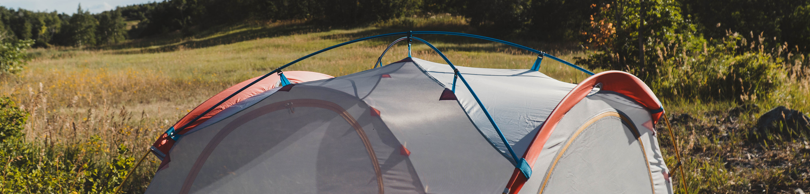 10 Best Campsites In Alabama Eureka