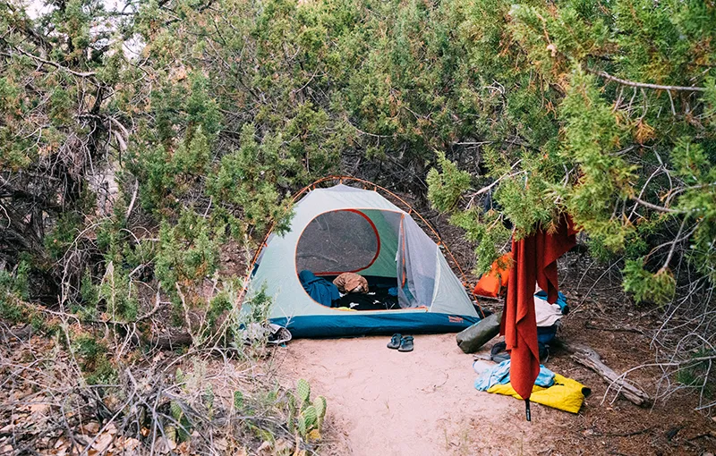 A Eureka tent tucked into a thicket of trees with camping gear hanging from the branches.