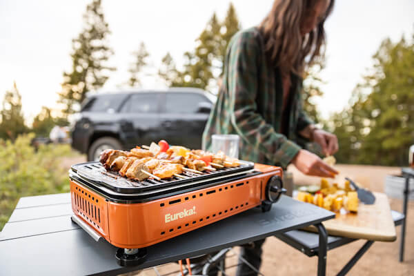 Choosing The Best Portable Gas Grill -