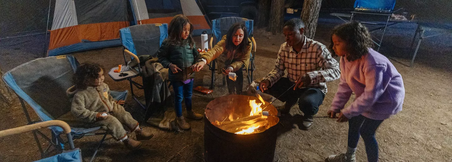 A family roasts marshmallows over a campfire.